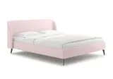 Тедди Розовый